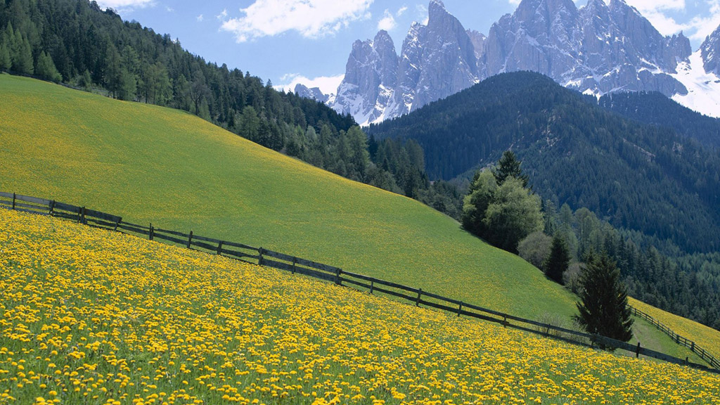 中央党校采访实录编辑室：《习近平的七年知青岁月》没中共中央党校出版社2017年版