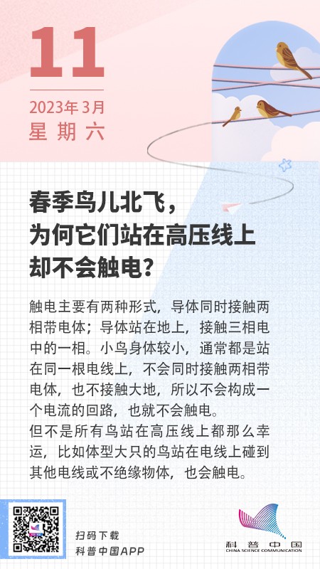 春季鸟儿北飞，为何它们站在高压线上却不会触电？-科普中国圈子-学习-值得研究