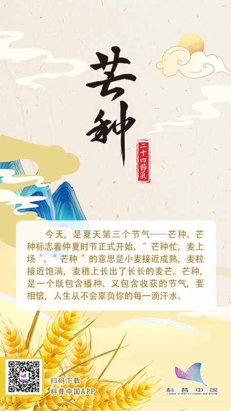 芒种